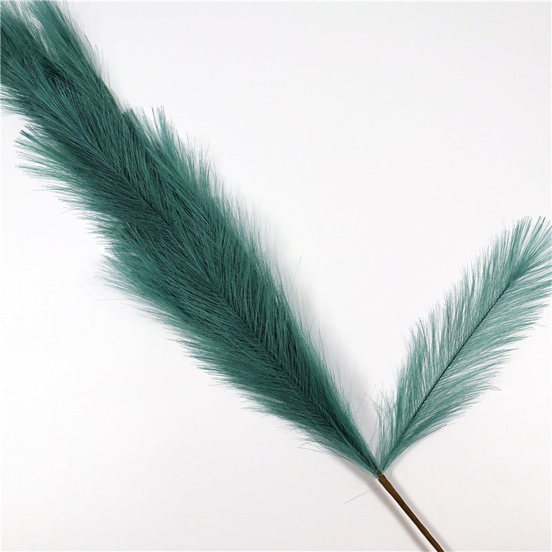 Reed Pampas Grass