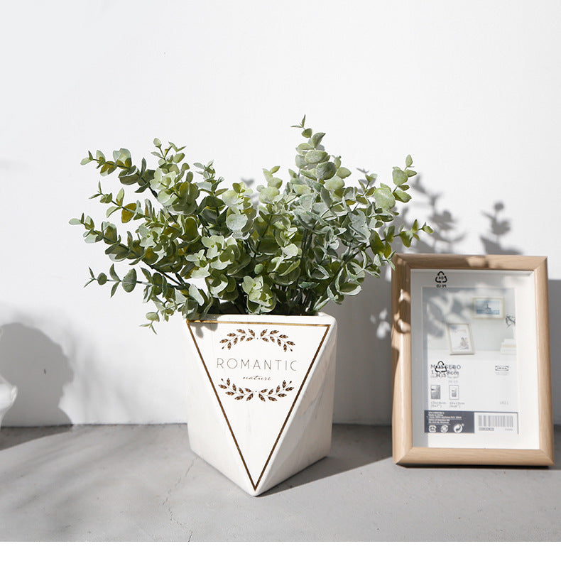Eucalyptus Money Leaf