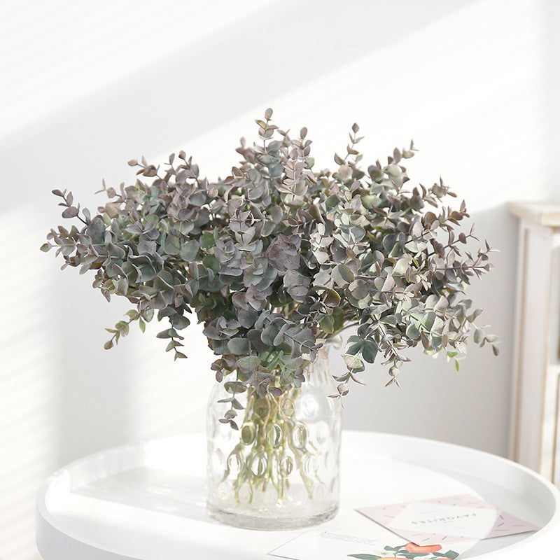 Eucalyptus Money Leaf
