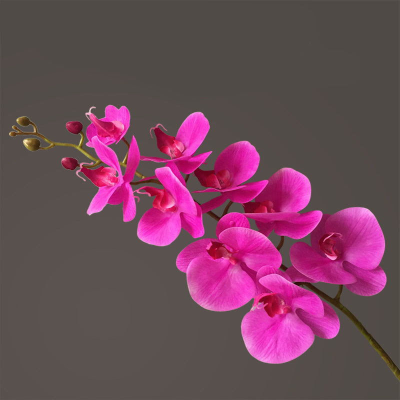 Artificial Phalaenopsis Orchid