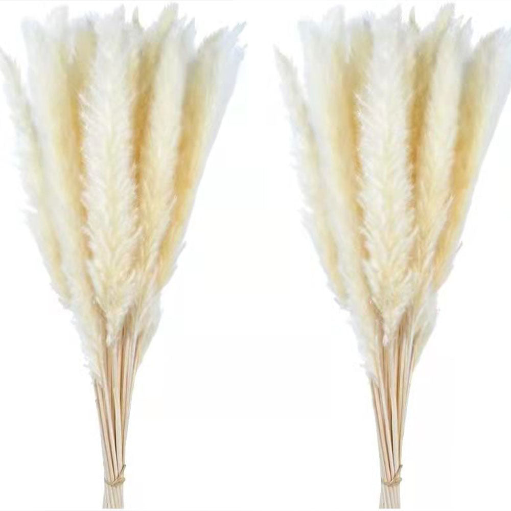 Dried Reed Flower Ornaments