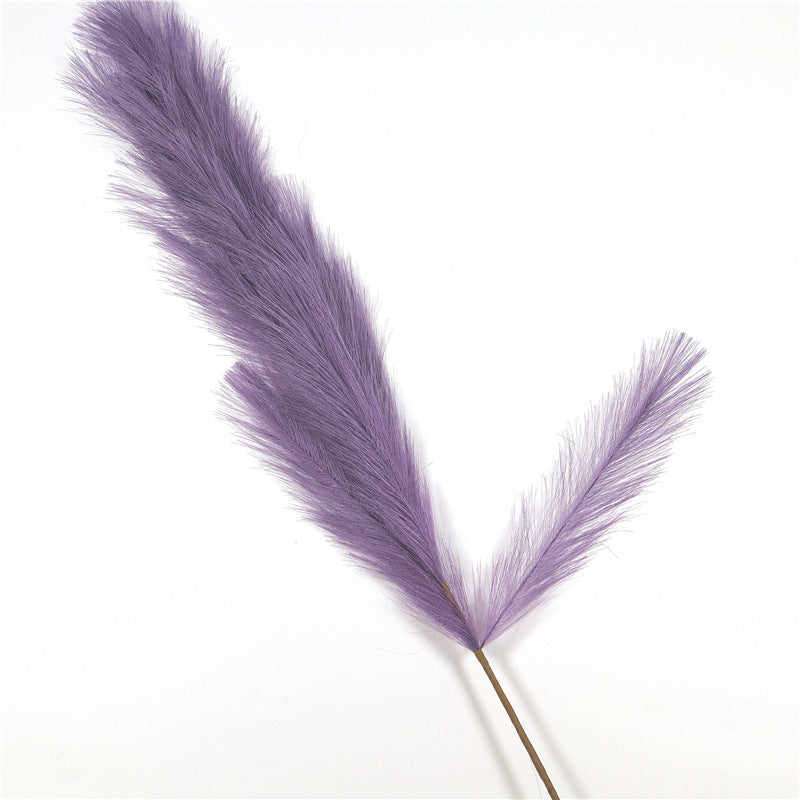 Reed Pampas Grass