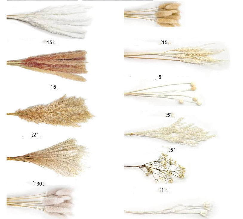 Dried Reed Flower Ornaments